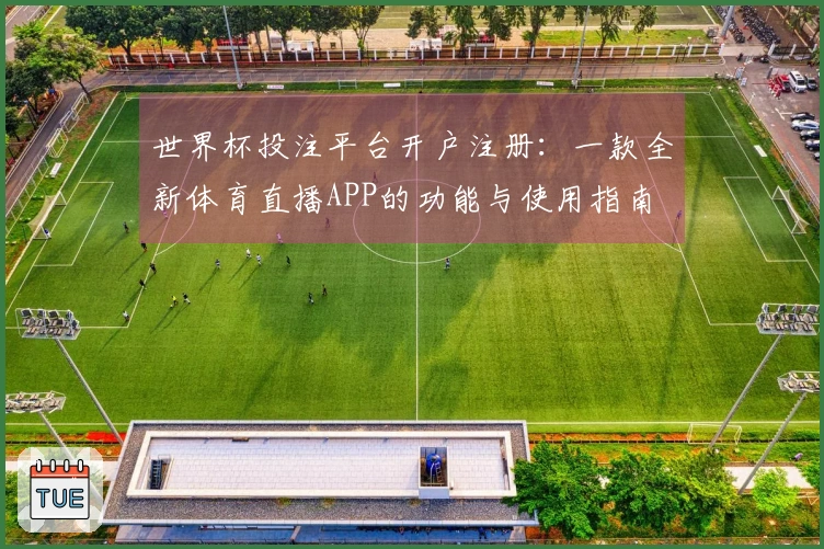世界杯投注平台开户注册：一款全新体育直播APP的功能与使用指南