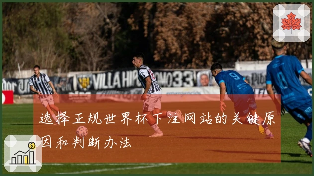 选择正规世界杯下注网站的关键原因和判断办法