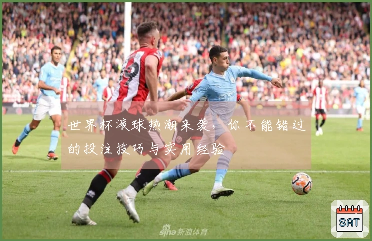 世界杯滚球热潮来袭，你不能错过的投注技巧与实用经验