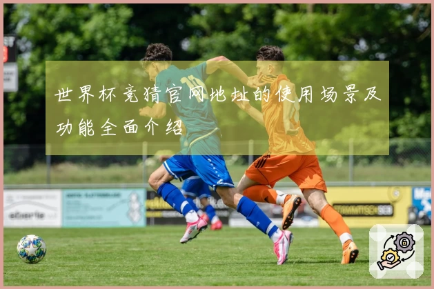 世界杯竞猜官网地址的使用场景及功能全面介绍