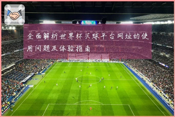 全面解析世界杯买球平台网址的使用问题及体验指南