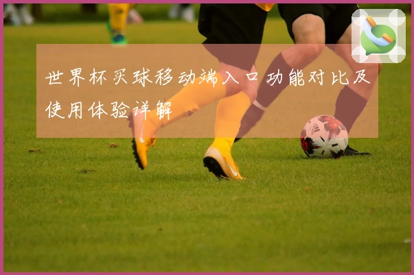世界杯买球移动端入口功能对比及使用体验详解