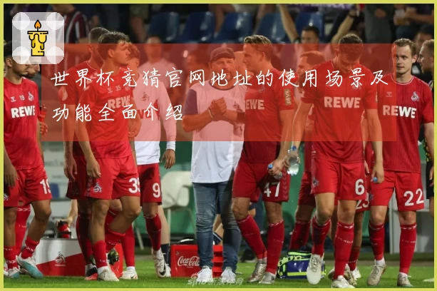 世界杯竞猜官网地址的使用场景及功能全面介绍