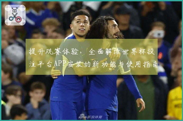 提升观赛体验,全面解读世界杯投注平台APP安装的新功能与使用指南
