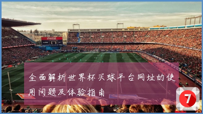 全面解析世界杯买球平台网址的使用问题及体验指南