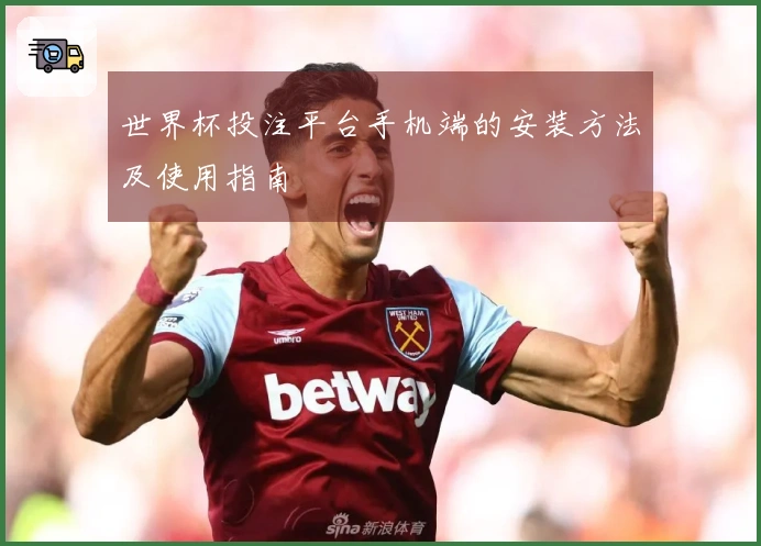 世界杯投注平台手机端的安装方法及使用指南