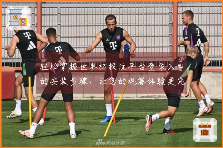 轻松掌握世界杯投注平台登录入口的安装步骤，让您的观赛体验更完美！