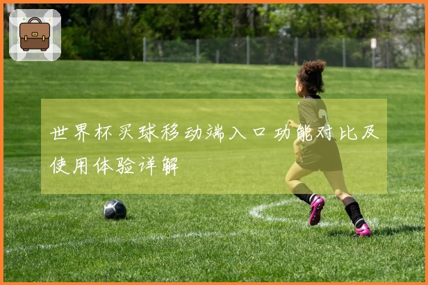 世界杯买球移动端入口功能对比及使用体验详解